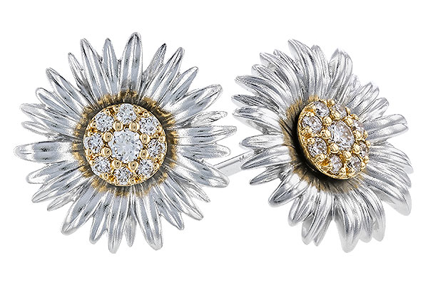 D310-39881: EARRINGS .14 TW