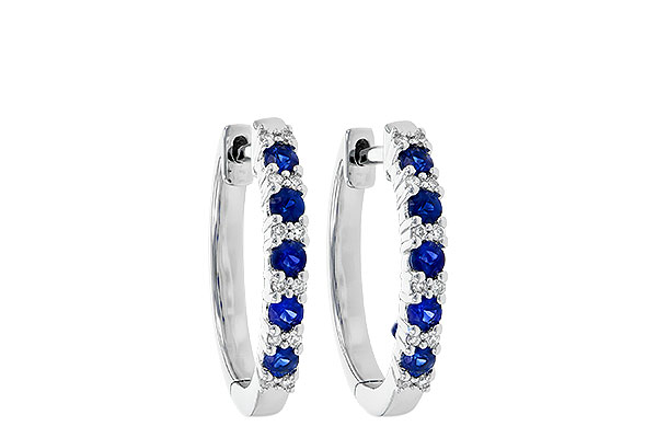 F226-77154: EARR .45 SAPP .55 TGW