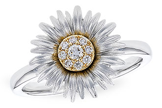 F310-39881: LDS DIA RG .10 TW