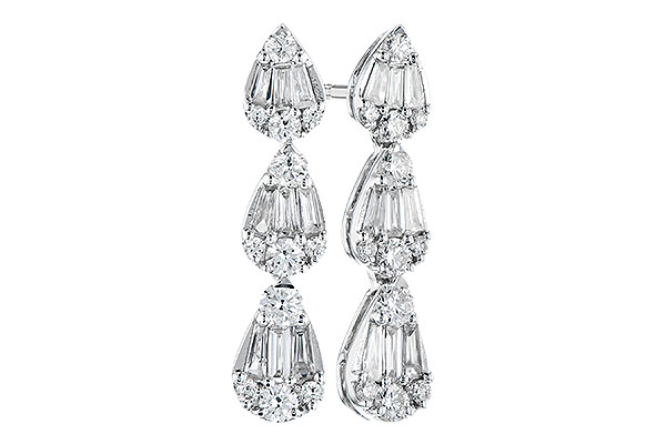 H309-48008: EARR .29 BAG .80 TW