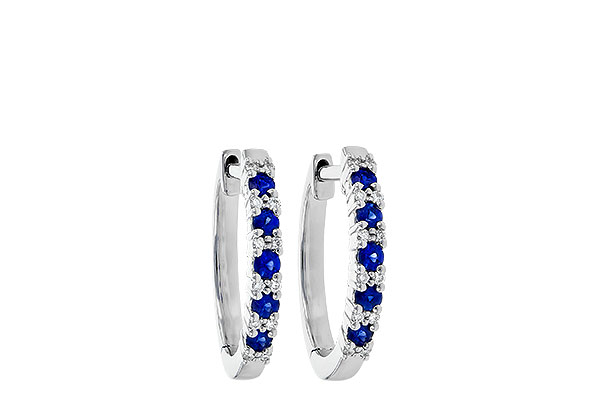 K226-77162: EARR .24 SAPP .30 TGW