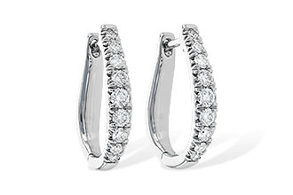 L226-76253: EARR .50 TW