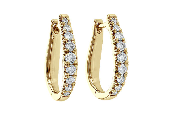 L226-76253: EARR .50 TW